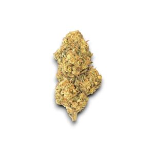 Fleur CBD Blue Meringue Glasshouse cultivée en France par Les Jardins de Magu – Saveurs florales et sucrées