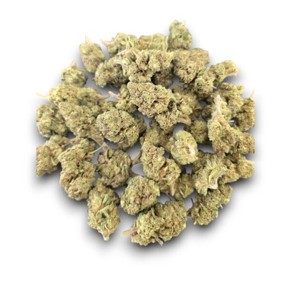 Fleur CBD Orangello cultivée sous serre en Italie – Arômes orange et effet relaxant