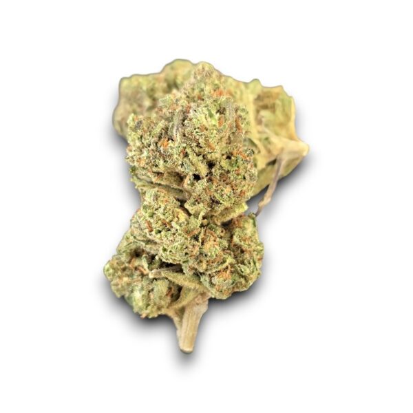Fleur CBD Orangello cultivée sous serre en Italie – Arômes orange et effet relaxant
