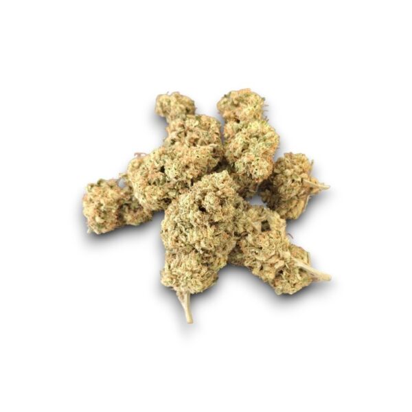 Fleur CBD Blue Meringue Glasshouse cultivée en France par Les Jardins de Magu – Saveurs florales et sucrées