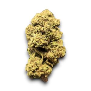 Fleur CBD Candy Kush Greenhouse cultivée en Italie – Arômes sucrés