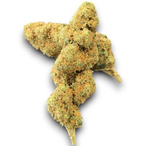 Fleur CBD Cherry Berry Indoor Italie – Arômes cerise et fruits rouges