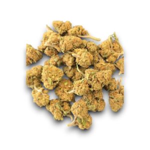 Small Bud CBD Mandarin Cookie cultivé en extérieur en Provence
