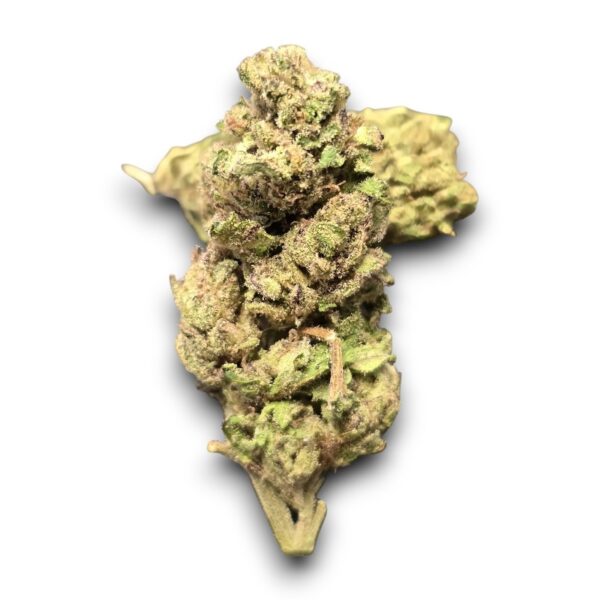 Fleur CBD Mango Cheese Glasshouse cultivée en Suisse – Arômes mangue et fromage doux