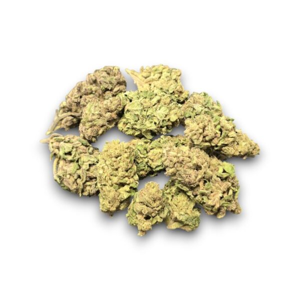 Fleur CBD Mango Cheese Glasshouse cultivée en Suisse – Arômes mangue et fromage doux