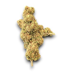 Fleur CBD Peppermint Greenhouse – Italie – Arôme mentholé frais