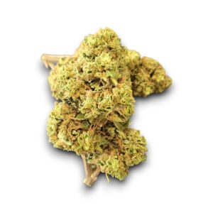 Fleur CBD Remedy greenhouse cultivée en Italie – Effets relaxants et notes florales
