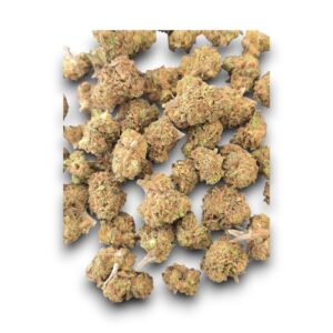 Small Bud CBD Peach cultivé en plein air en Provence